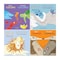 Childs Play Books Wild Concepts Bilingual Spanish/English Board Book Set 8-Book Set, 8PK 9781786289889 - alternate 2